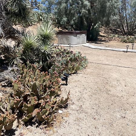 Mojave Desert Pied-A-Terre Юкка-Валлі Екстер'єр фото
