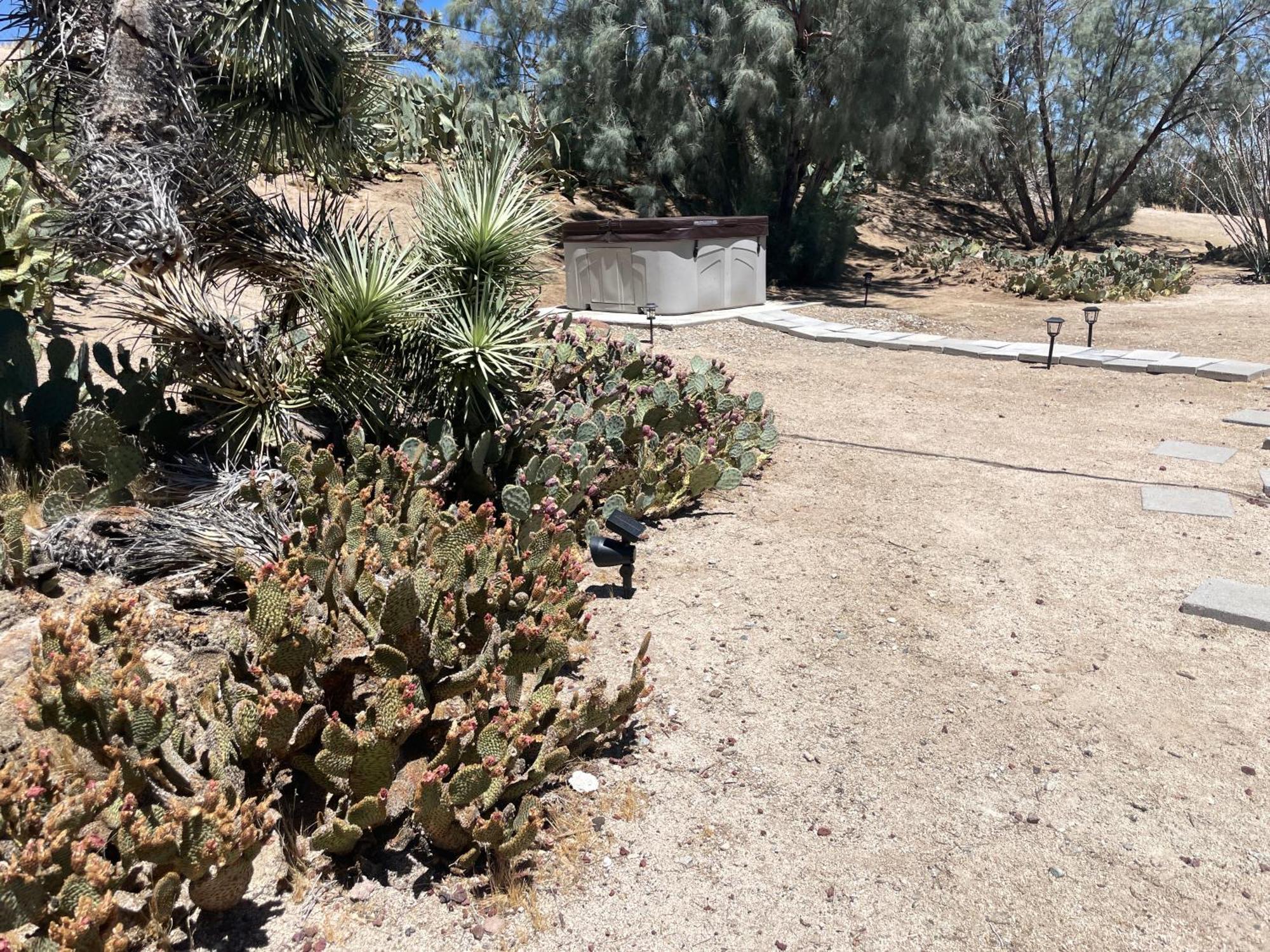 Mojave Desert Pied-A-Terre Юкка-Валлі Екстер'єр фото